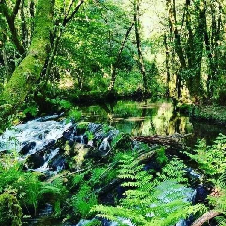 A Cantaruxa Maruxa Turismo Rural Мондарис Екстериор снимка