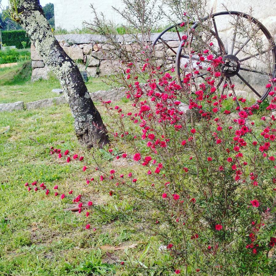 A Cantaruxa Maruxa Turismo Rural Мондарис Екстериор снимка